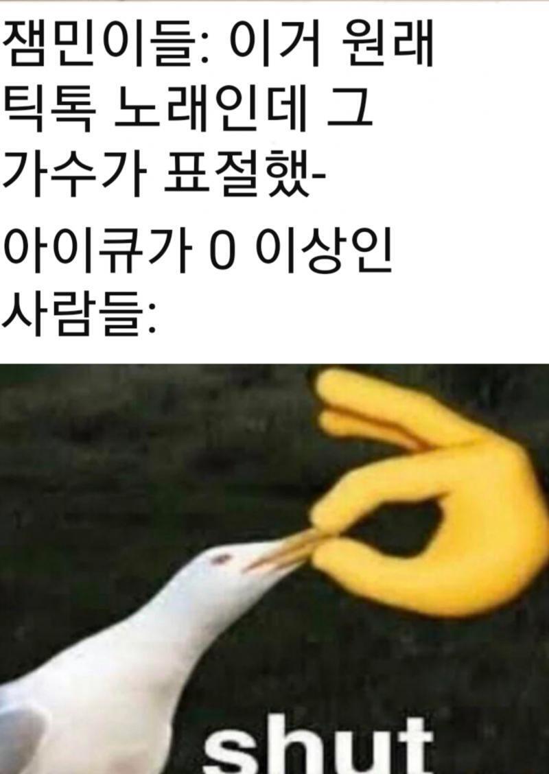 틱톡에서 노래가 유행타면 꼭 악성 시청자가 나타나기 마련이지