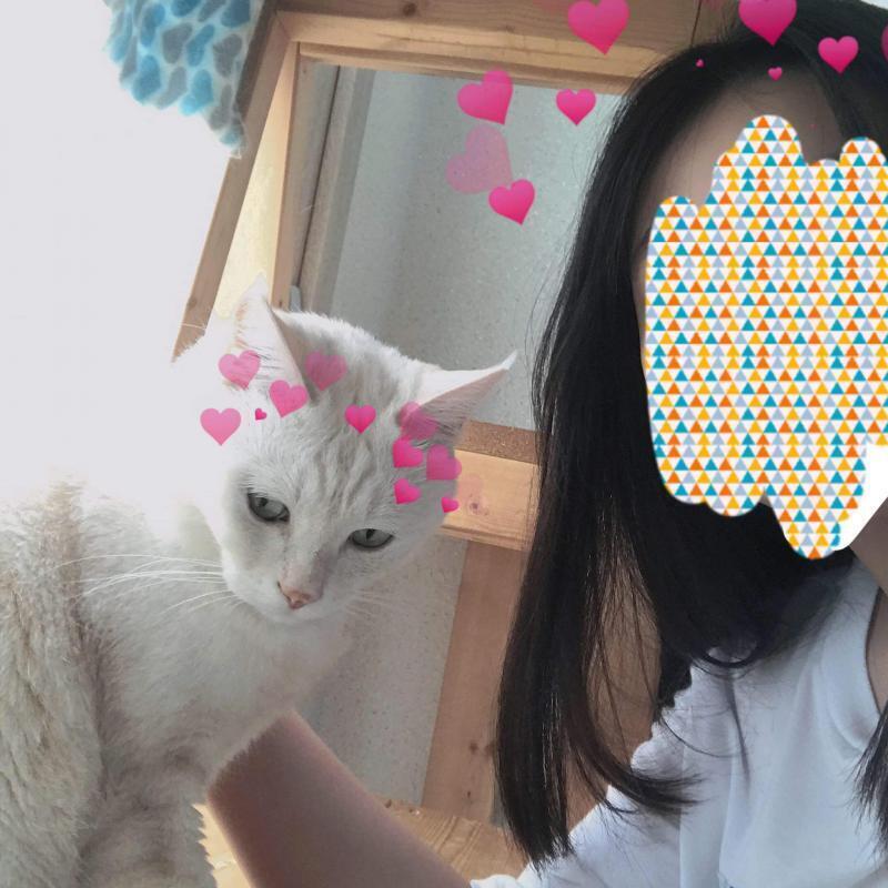 사진 종나 안 올라가
