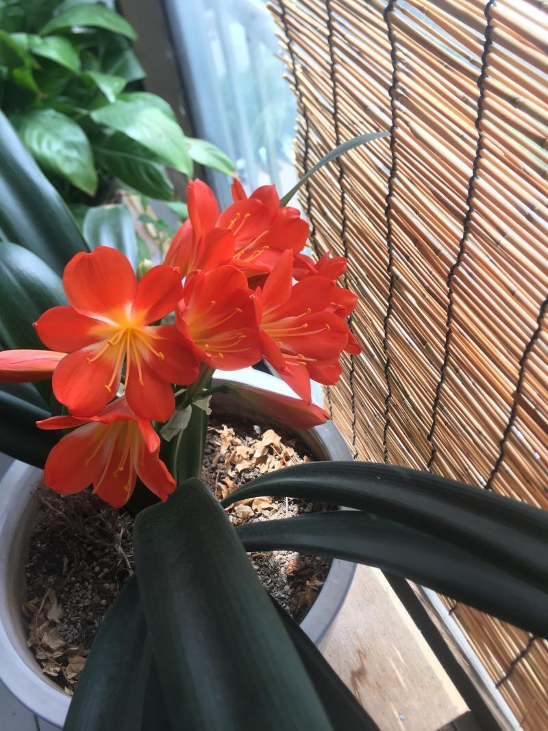 여기!