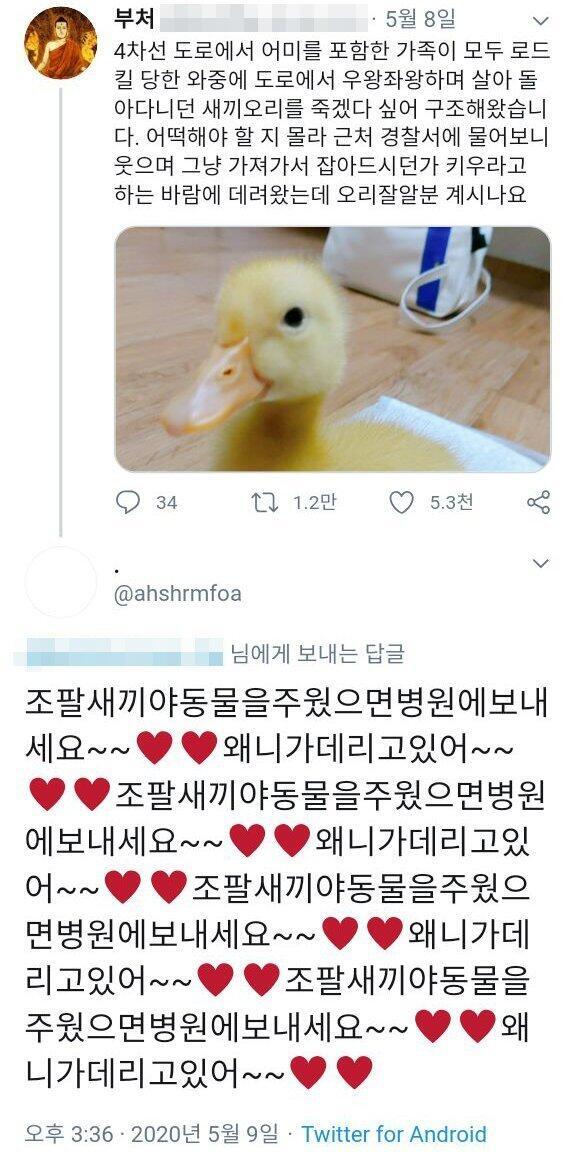 구해준것만으로도 감지덕지한데 욕하는 제 3자의 레전드 태도 + 레알 부처의 레전드 대답