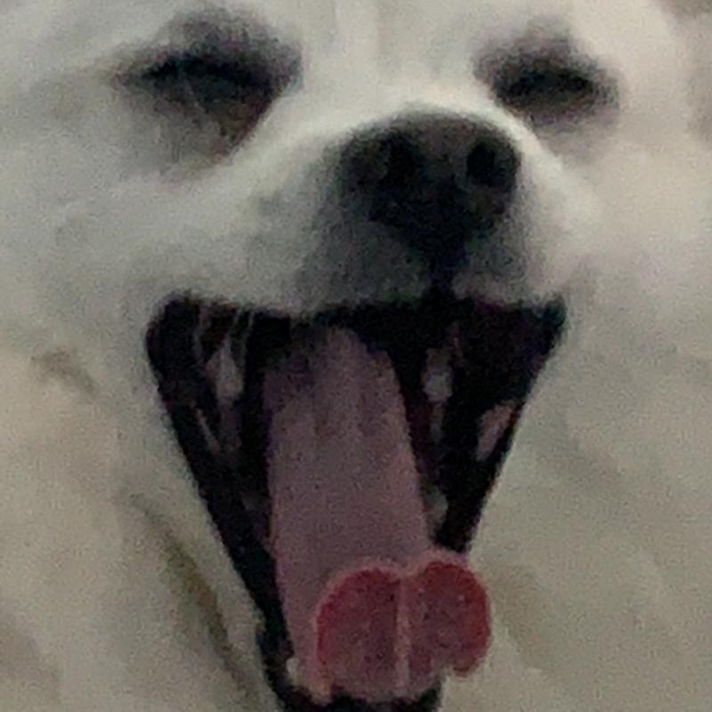 ๋ฏธ์ํด ๋๋ฌด ์๋ํ๊ณ ์ณ์ดใ
ใ
