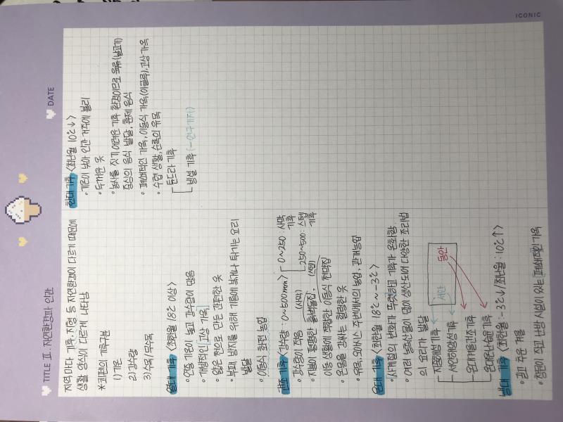 통사 정리 재밌당