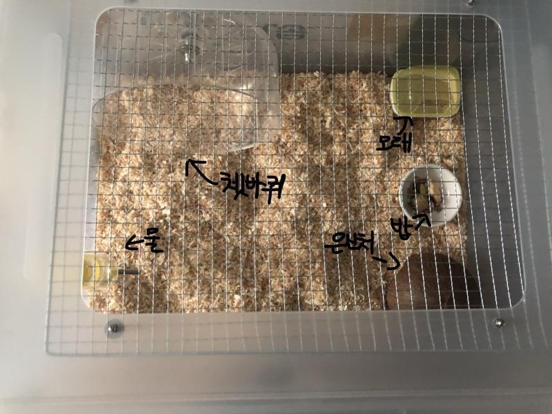 애기 집은 68L 리빙 박스야 혹시 아크릴 땜에 안 좋은 거 아니지...?