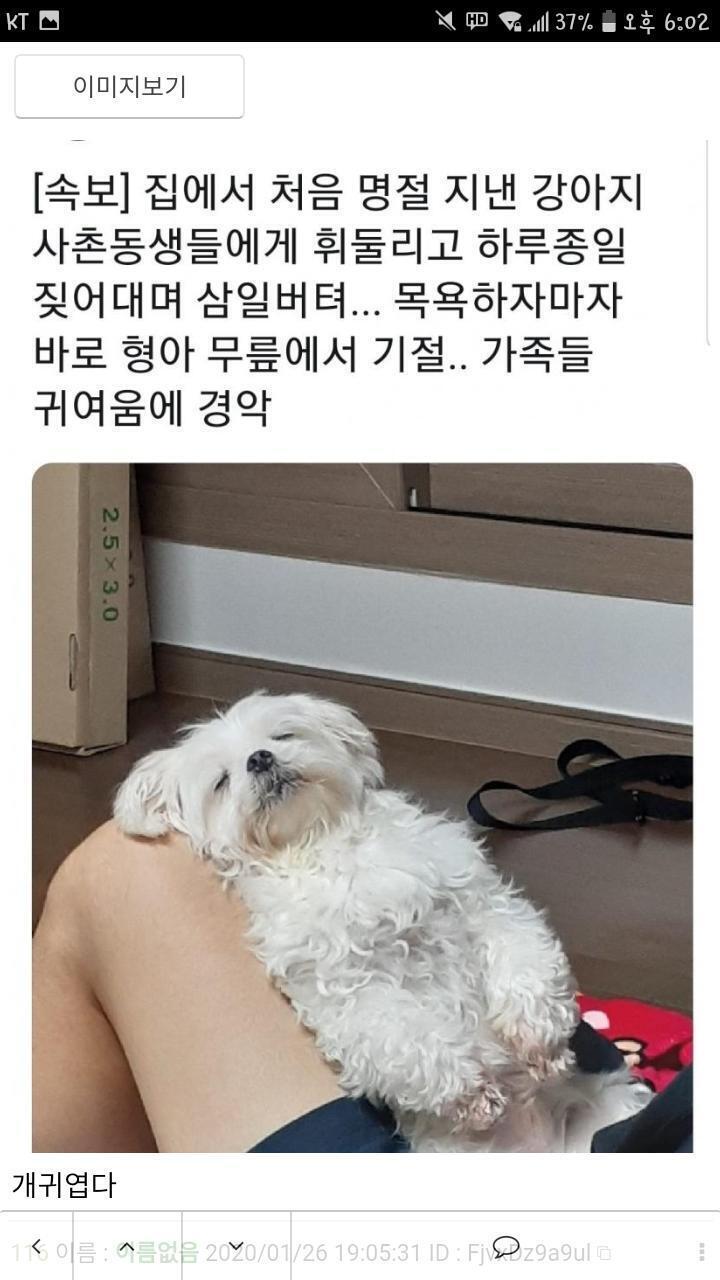 힐링이 필요해...