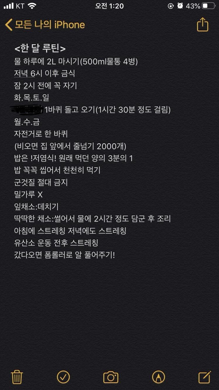 요기 루틴 사진!
