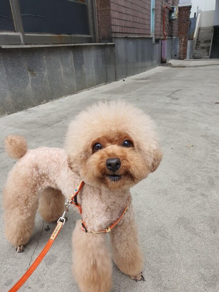 여기있슴다