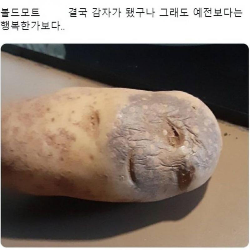 여기요ㅠㅠ