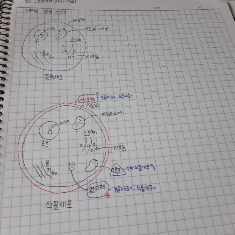 노트 꾸미는거에 희열느끼는 사람입니다