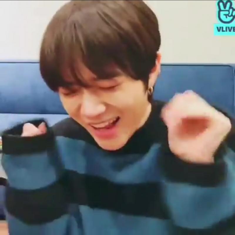 나는 이 말티즈 때문에 못 살겠음 너무 귀여워서 ㅠㅠㅠㅠㅠㅠㅠㅠㅠㅠㅠㅠㅠㅠㅠㅠㅠㅠㅠㅠㅠㅠㅠㅠㅠㅠㅠㅠㅠㅠㅠㅠㅠㅠㅠㅠㅠㅠㅠㅠㅠㅠㅠㅠㅠㅠㅠㅠㅠ