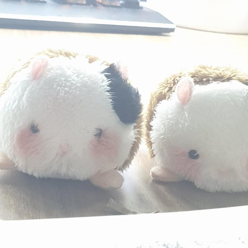 우리...햄섯터..인형...