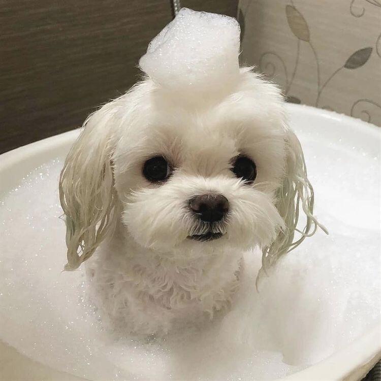 >>6 더 찾아왔엉 ㅎㅎ