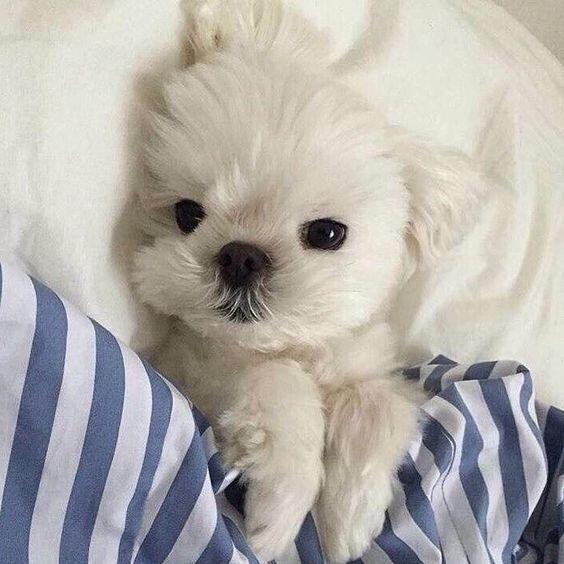 >>6 더 찾아왔엉 ㅎㅎ