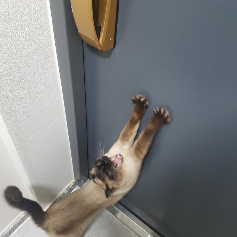 ???:아아아아ㅏ아아아악강ㄱ