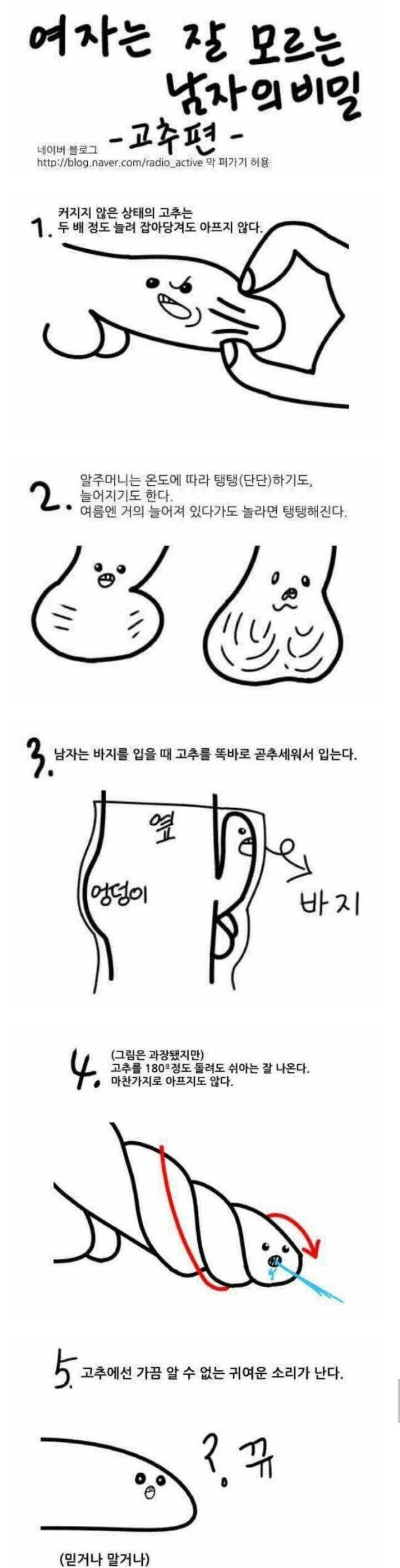 이런건 안보이는데 생리나 브라같은건 잔뜩 보이면 불편할수도 있지 둘 다 보이면 상관 없음