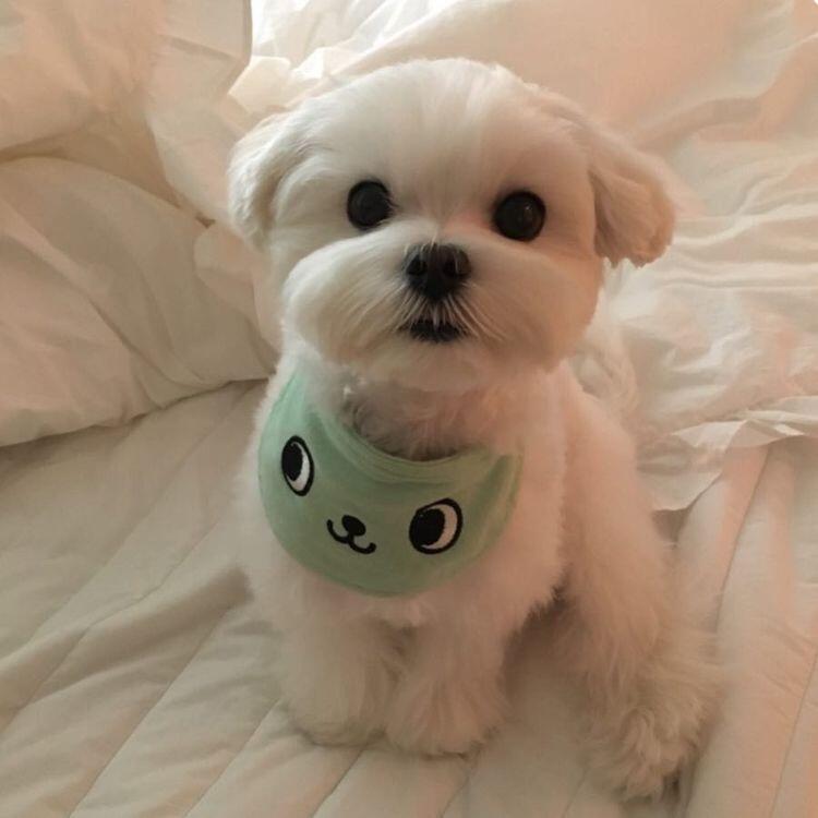 >>6 더 찾아왔엉 ㅎㅎ
