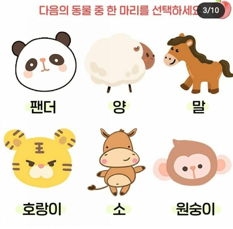 다음 심리테스트