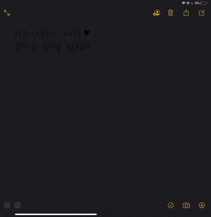 아이패드에 애플펜슬로 일단 검은 배경에 검은글씨로 2개 해봤당 일주일정도 있다가 후기 쓸게