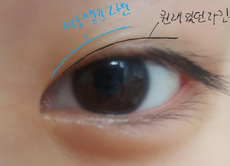 라인이 잘보이는 사진!