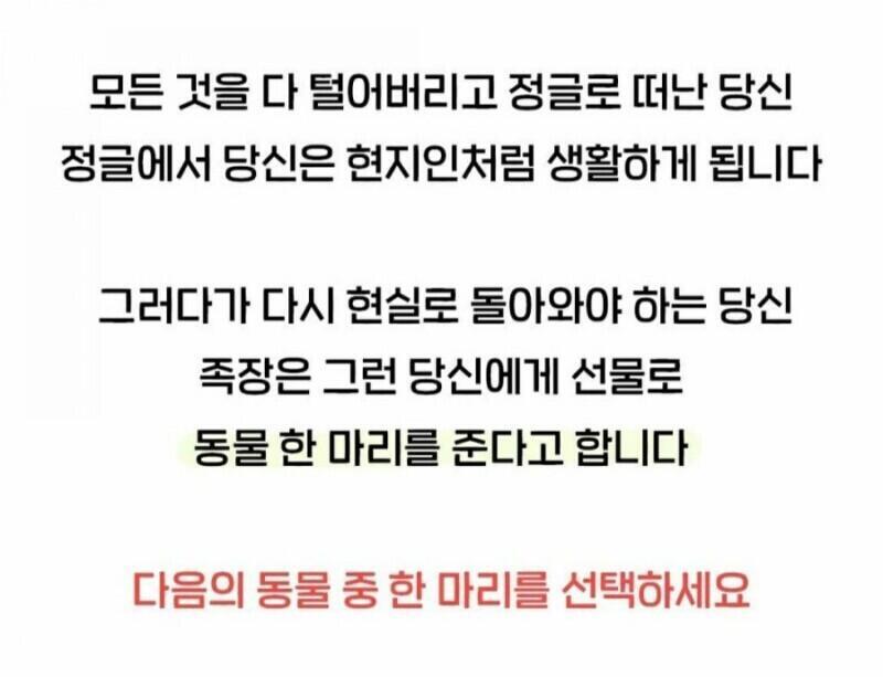 다음 심리테스트