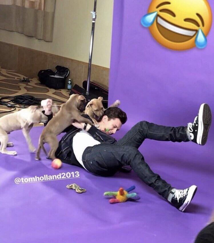 멍멍이 좋아하는 점 너무 마음에 든다ㅠㅠ