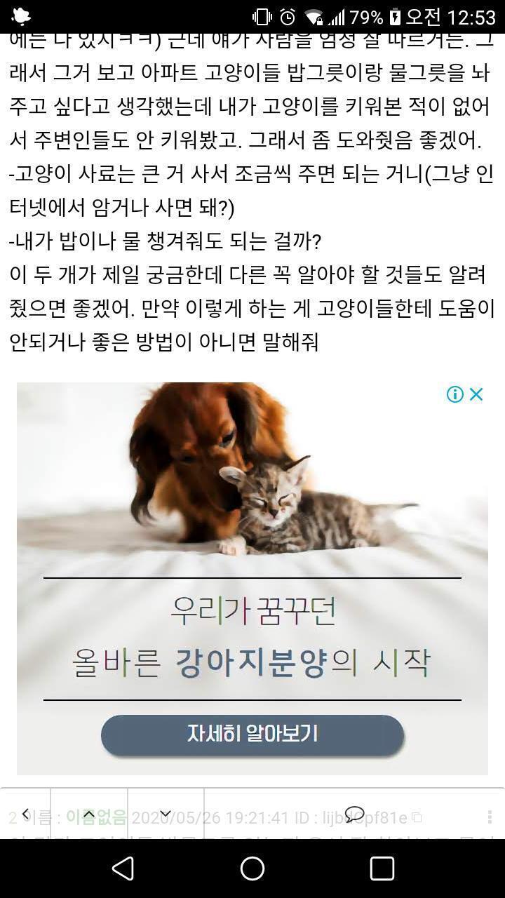 엥 뭐야 이 스레 광고 애완동물 광고다ㅋㅋㅋㅋㅋㅋㅋㅋㅋ