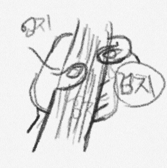 >>4 이런 식으로?
