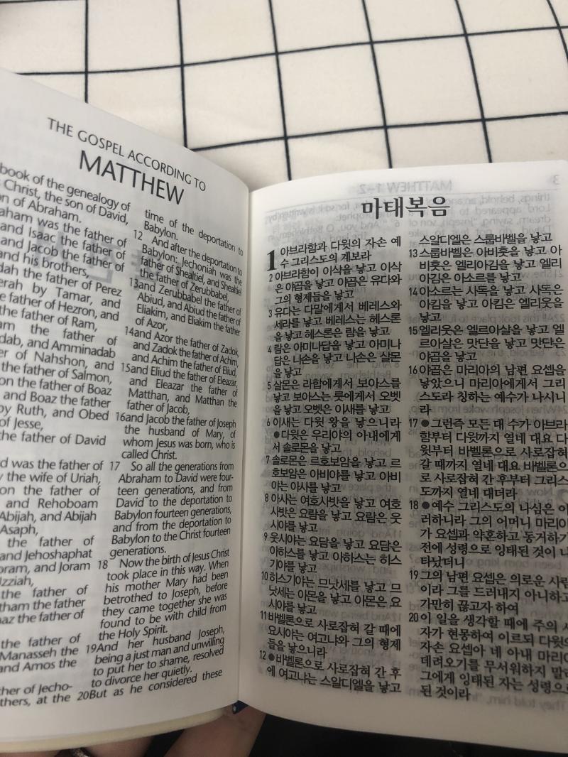 요기