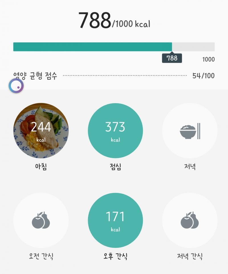 비타민신지니 허벅지 안쪽살, 팔뚝살 운동 삐약스핏 허리운동 스쿼트 25개 와이드스쿼트25개 이따가 복근운동 할 예정...인데 이달소 고원정식이