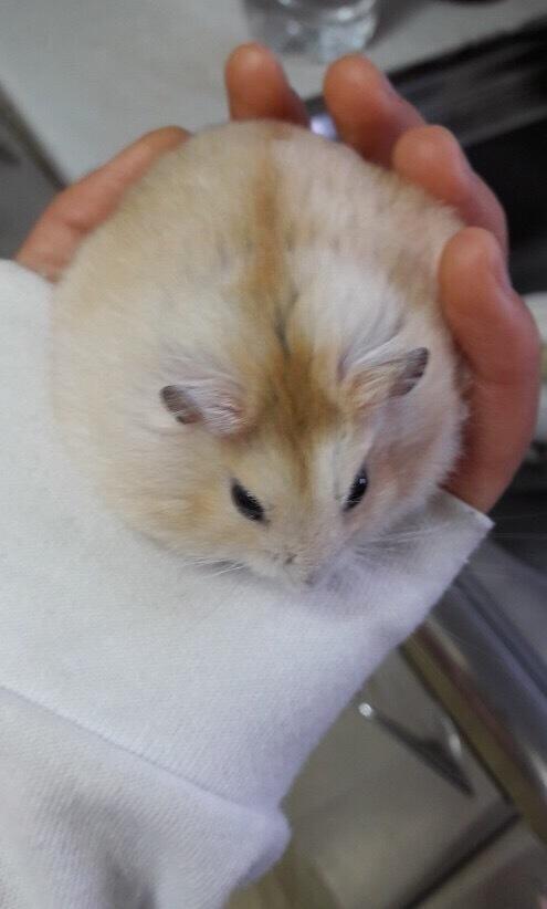 ๋ฑ๋ฑ...