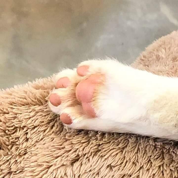 사진은 못 찍었고 이거나 봐ㅠㅠㅠㅠ