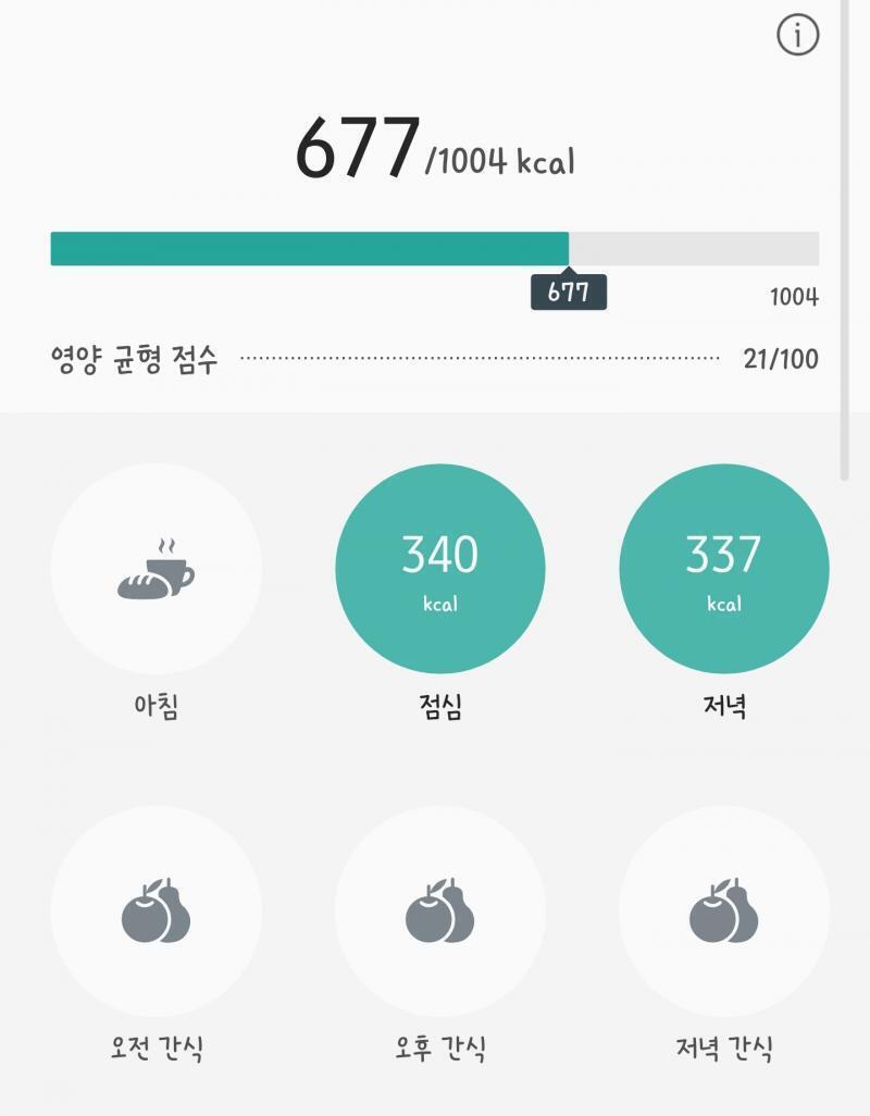 비타민 신지니 안쪽허벅지, 팔뚝살 운동 와이드 스쿼트 100개 런지 25개 복부운동 진짜 하기싫다... 내일은 해야지
