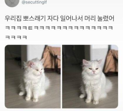 이거나 봐라ㅋㅋㅋㅋ 넘 귀여움