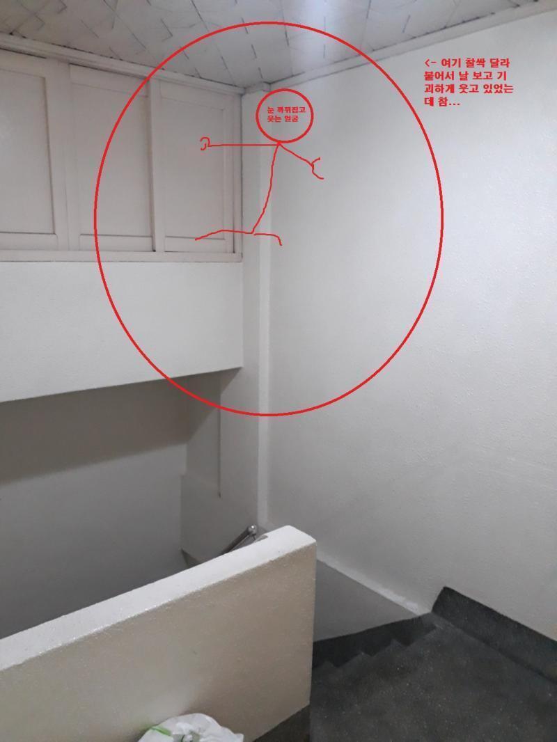 꿈 해몽 잘하시는 분 있을까 개꿈인지 아닌지만 말해주길 바래
