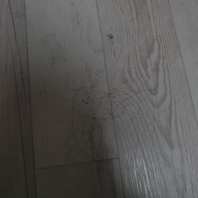 어제 청소기로 바닥 쓸었는데 지금 보이는것만 주워도 이정도야