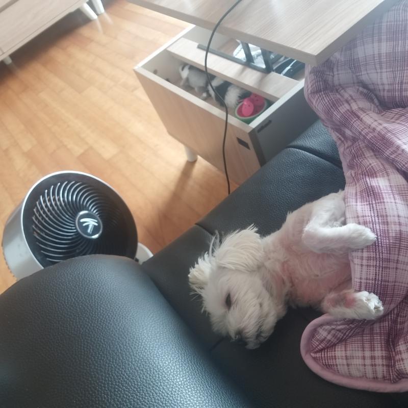 쿄쿄쿄쿄쿄쿄쿄