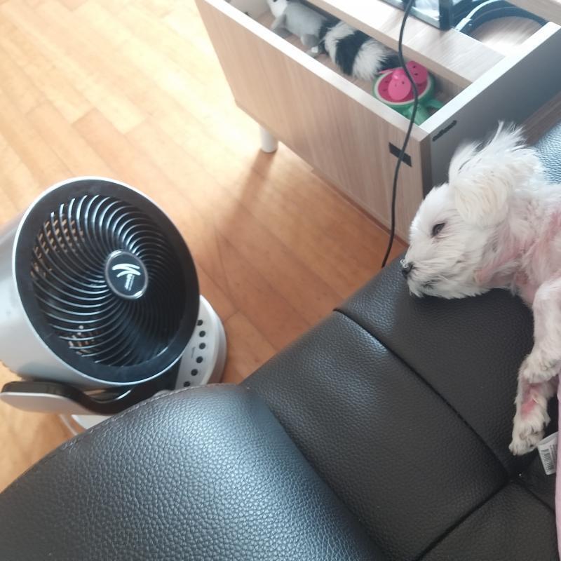쿄쿄쿄쿄쿄쿄쿄