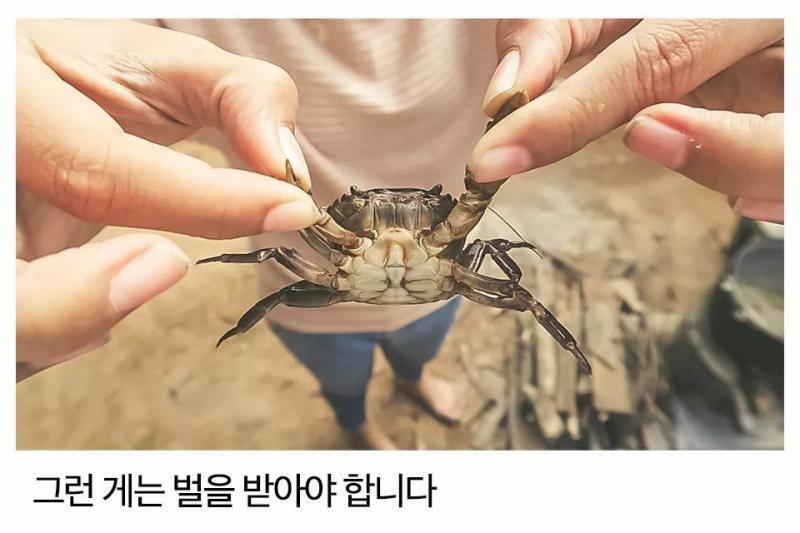 자기가 귀엽다고 생각하는 사람이 좋은 게