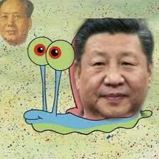 시진핑핑이?