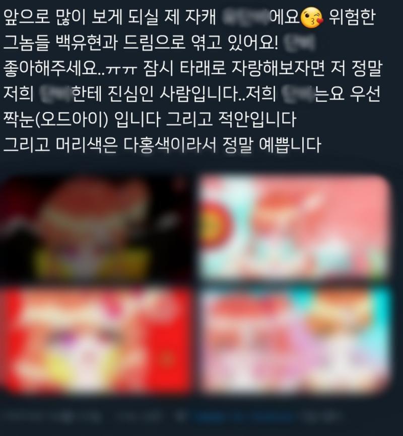 드림주 혹은 자캐 디자인을 암묵적인 룰을 한 번에 설명 끝내는 트윗 발견 했어. 1.드림주(혹은 자캐) 머리는 무조건 핑발임 1-1 핑발에 오드