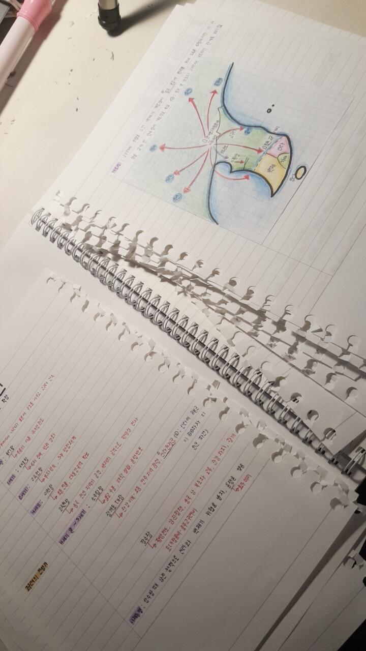 일단 다 뜯어놓은 상태임... ㅅㅂ개빶친다 이거 수행이라는데 왜 이랫다저랬다 함 진자