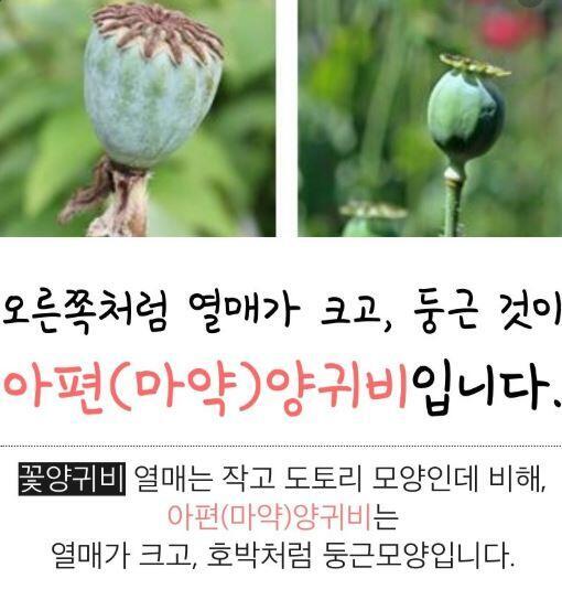이렇다는데...흠...