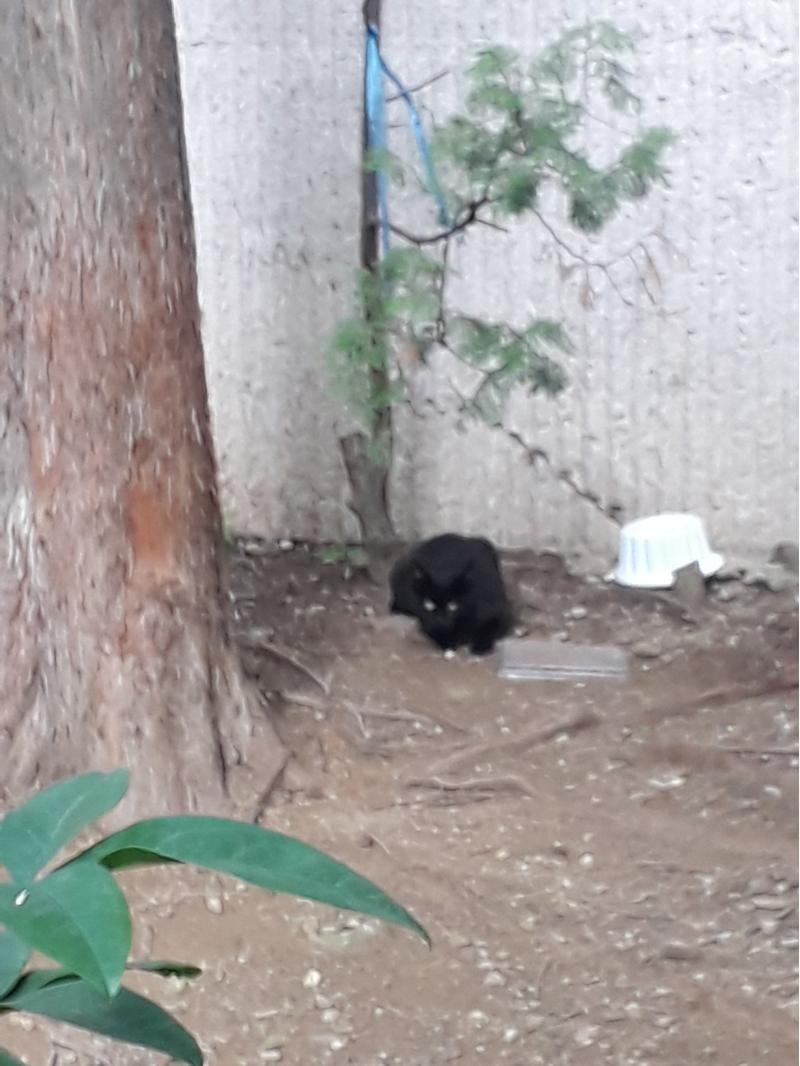 목요일의 짜장이
