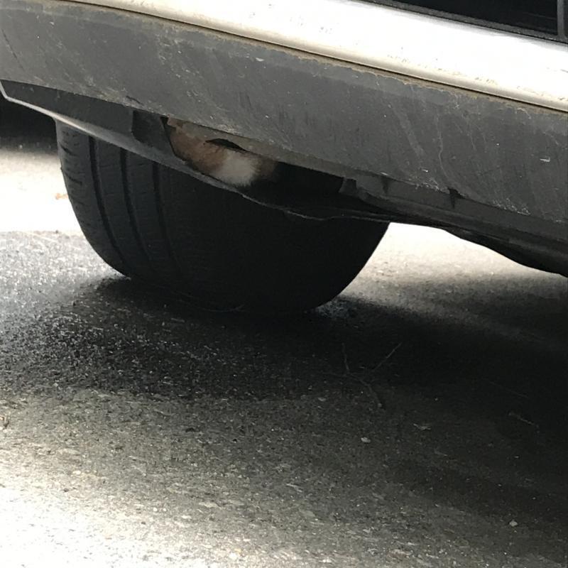 >>7 가까이서 다시 찍었당