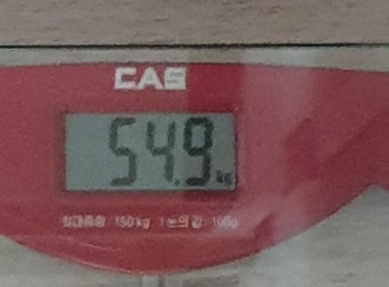 2020/6/13 2키로 빼기까지 D-17 아침X 점심-토닭국, 갈치구이에 밥 저녁-편의점 부리또, 아아, 수박 운동-복근 20분, 팔 20분
