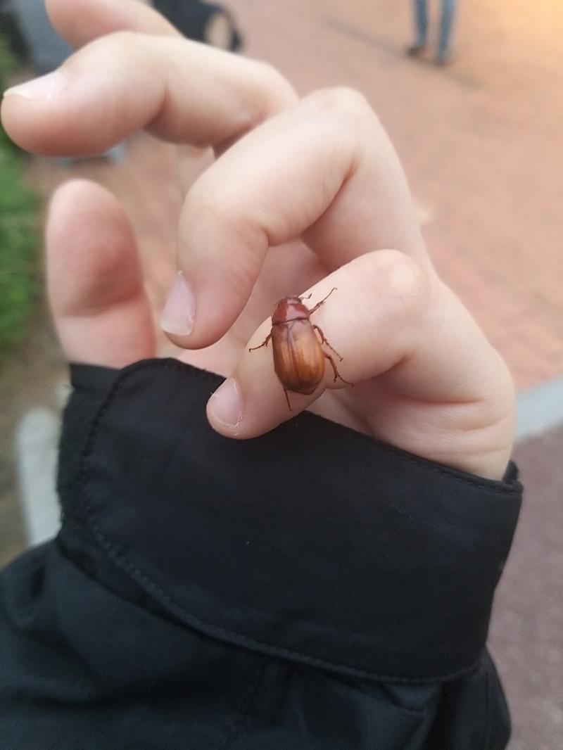 얘네 졸귀임