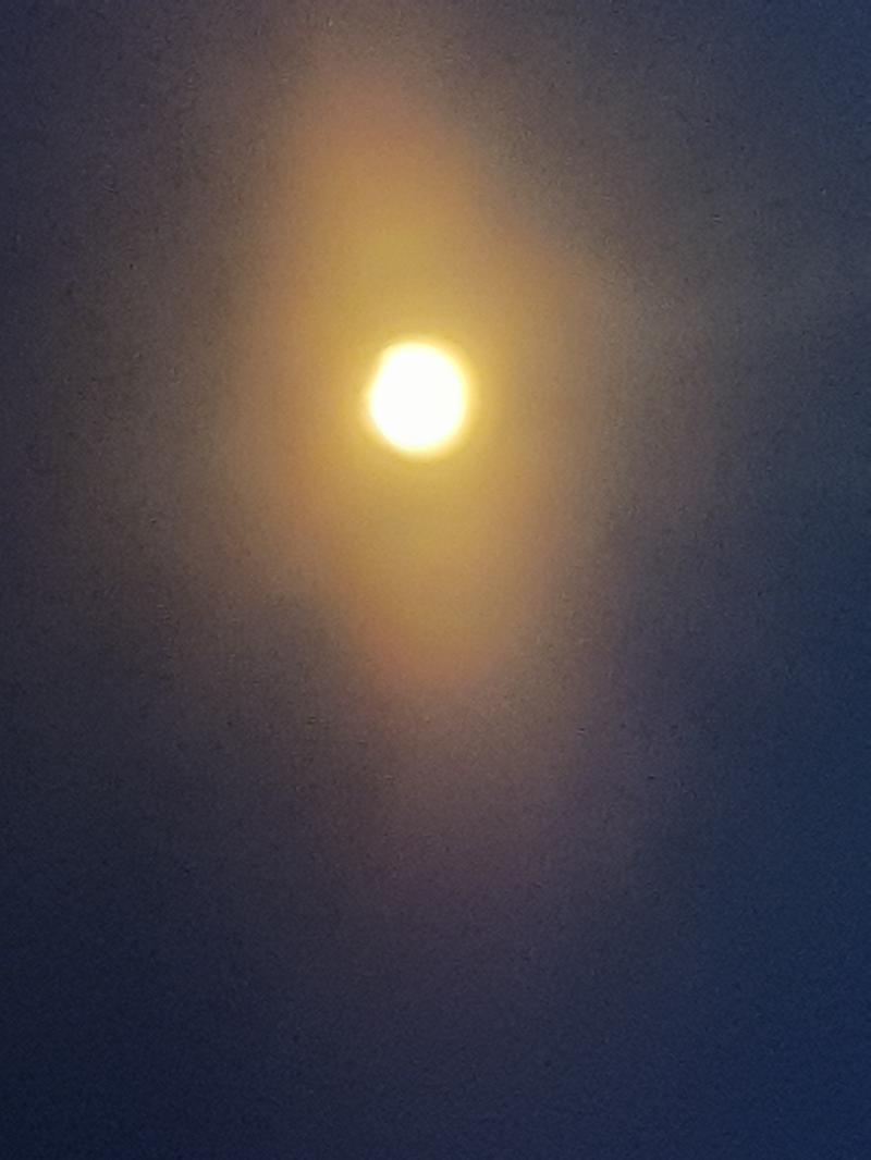 찍긴 찍었네 그래도....끝나갈때쯤 성공해서 좀 슬프지만 찍은 것에 의의를 둘래 잘 보면 옆구리에 뽈록 들어가있어.....