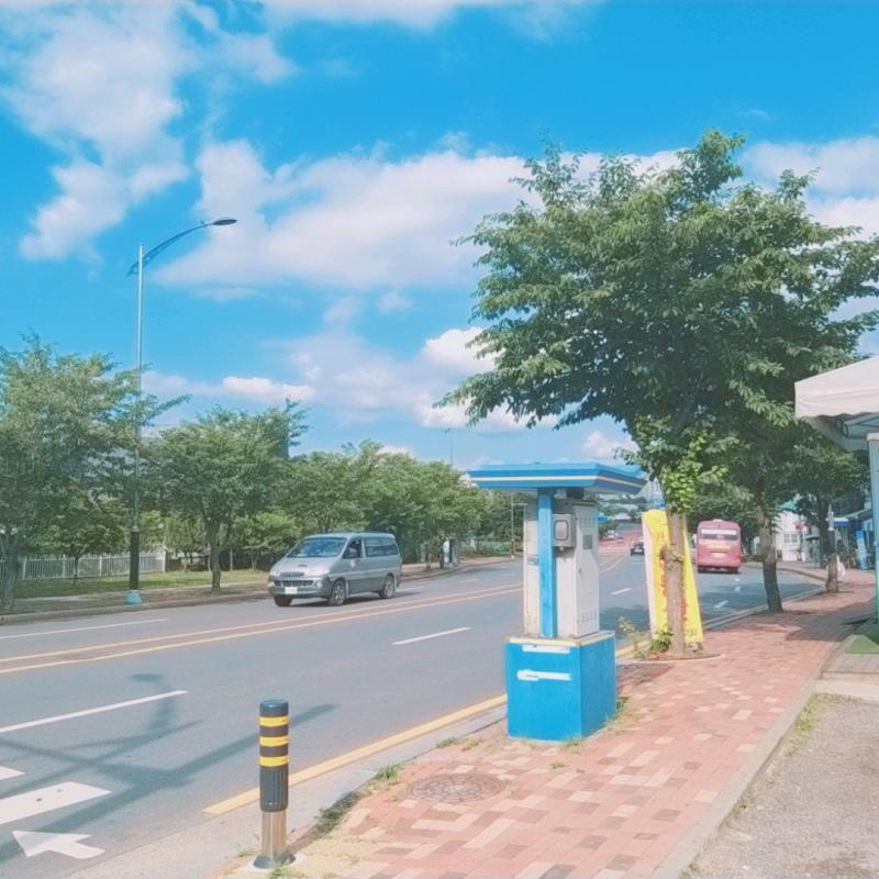 차 번호판 나온거 넘 많다..