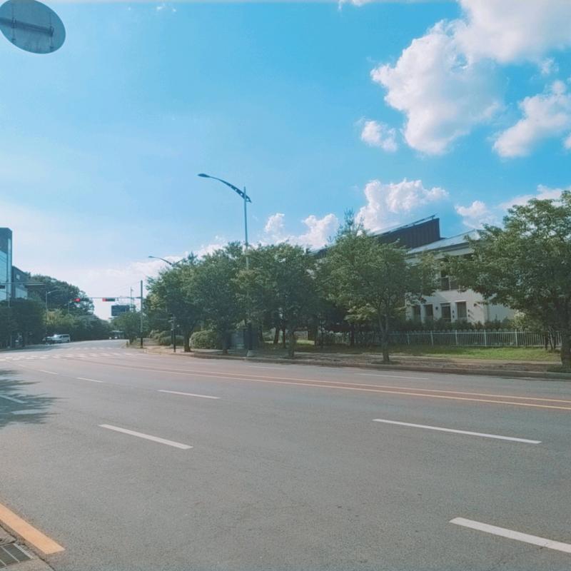 차 번호판 나온거 넘 많다..