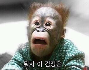 끝인줄 알았지...?