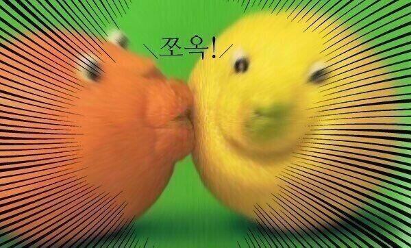미안..진짜 갈게...안녕..